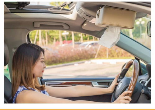 车载纸巾盒创意挂式车用抽纸盒网红餐巾纸盒汽车用品车内装饰大全